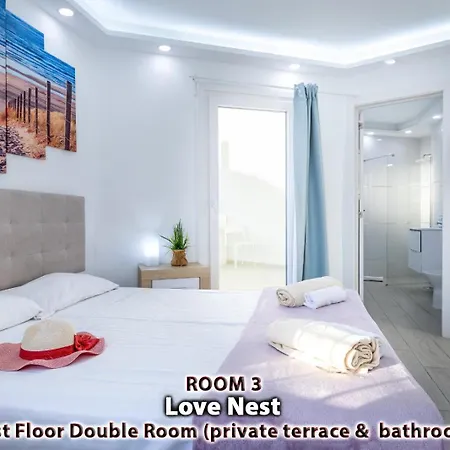 Fiesta Americas Up To 14 Guests Party